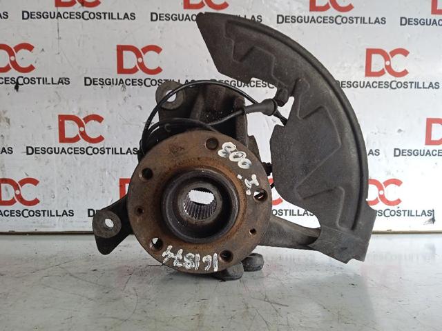 PEUGEOT 1640790280 Mangueta delantera izquierda  disponible España