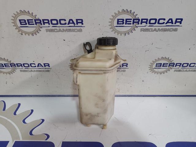 Depósito de bomba de dirección hidráulica para Citroen Jumper 250