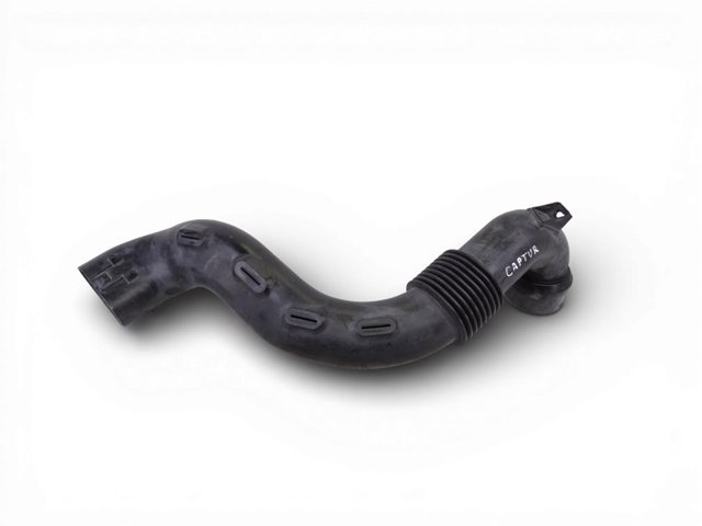 RENAULT 165556691R Tubo flexible de aspiración comprar Barcelona