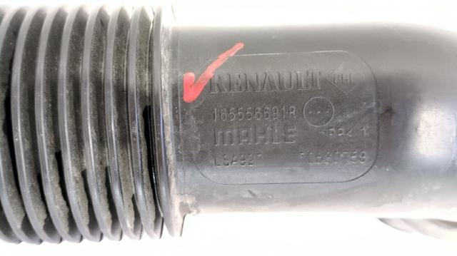 RENAULT 165556691R Tubo de admisión de aire, entrada del filtro de aire  disponible España