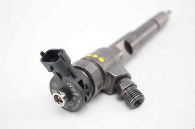166008399R Inyector comprar Sevilla