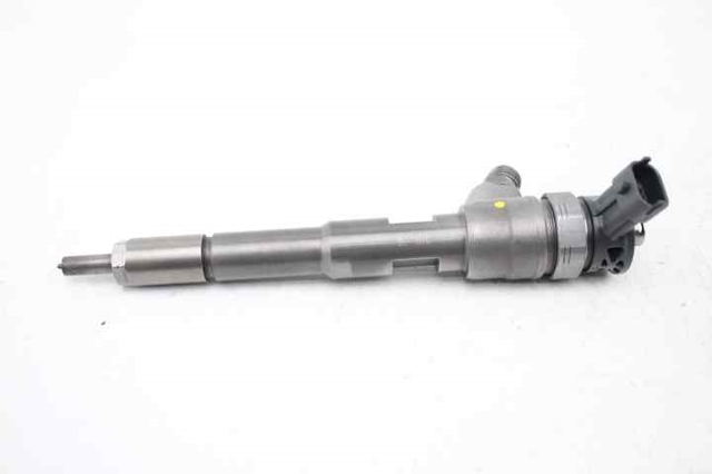166008399R Inyector comprar Girona