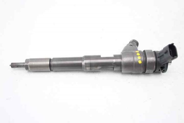 166008399R Inyector comprar Girona