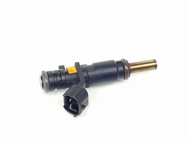 Inyector 166008992R Renault (RVI)