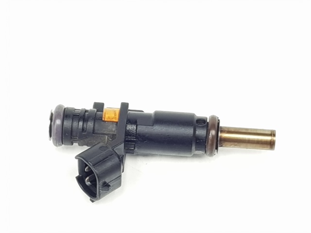 Inyector de combustible 166008992R Renault (RVI)