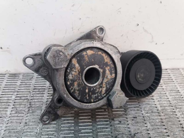 166200R010 Tensor de correa de accesorios  disponible Burgos