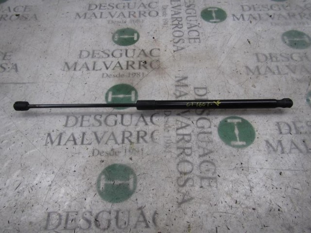 1666068 Amortiguador de la tapa del maletero  disponible Utrera