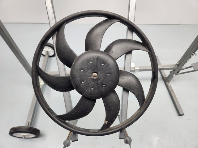 PEUGEOT 1671210080 Ventilador de radiador comprar Tarragona