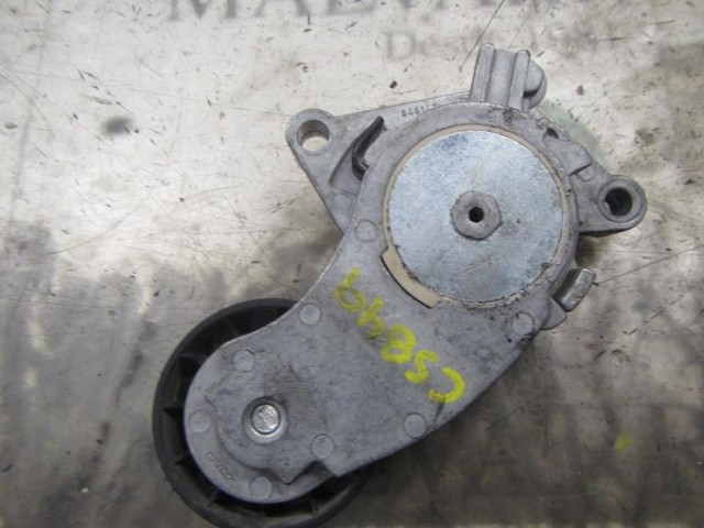 1690293 FORD Tensor de correa, correa poli V  comprar en Lleida