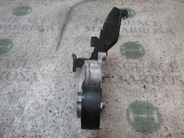 1690293 Tensor de correa poli V comprar Sevilla