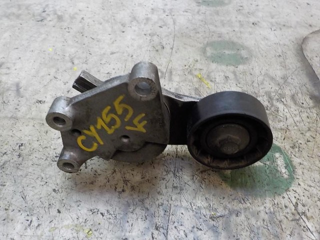 Tensor de la correa trapecial poli v Ford Fiesta VI (CB1)