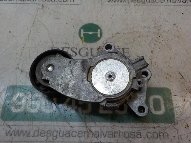 Tensor de la correa trapecial poli v 1690293 FORD