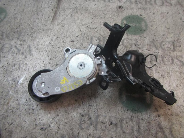 1690293 Tensor de correa poli V  en stock Castellón