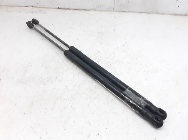 Muelle neumatico maletero A  hatchback (2004-2012) original desde 14,42 €