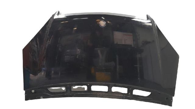 Capot A  hatchback (2004-2012) original desde 239,58 €
