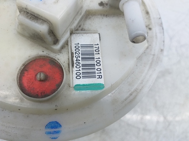 170110001R Renault (RVI)