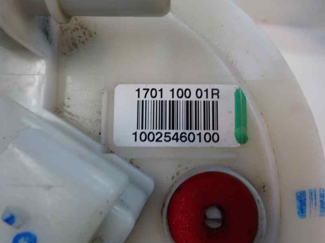 170110001R RENAULT Bomba de gasolina  en stock Córdoba