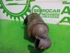 Catalizador Citroen C3 1