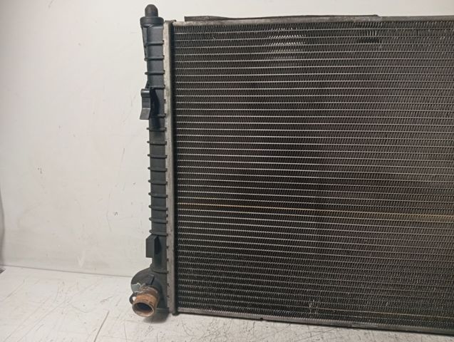 17117570821 BMW Radiador de refrigeración del motor  disponible Ourense