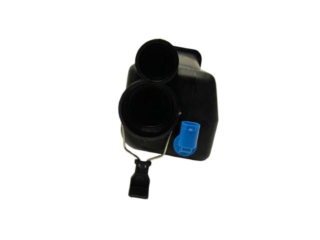 17117573780 BMW Vaso de expansión  en stock Córdoba