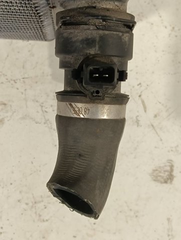 17117788903 BMW Radiador  en stock Córdoba