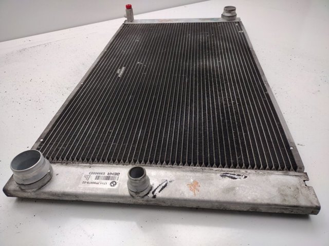 BMW 17117795878 Radiador de refrigeración del motor  comprar en Albacete