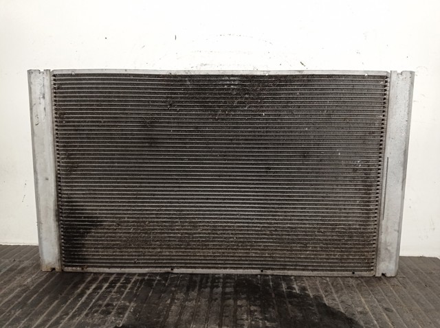 17117795878 Radiador de refrigeración del motor  disponible Málaga
