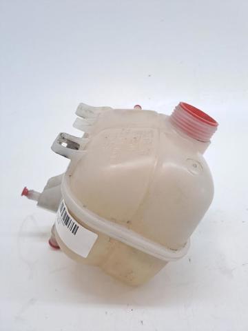 Botella de refrigeración MINI COUNTRYMAN R60