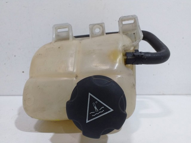 17137539267 Botella de refrigeración  comprar en Zaragoza