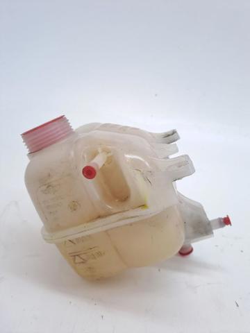 Botella de refrigeración MINI COUNTRYMAN R60