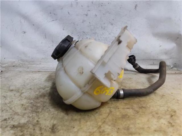 17137609468 BMW Vaso de expansión  en stock Córdoba