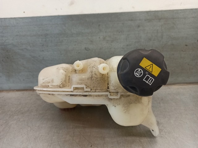 BMW 17137617362 Vaso de expansión comprar Pamplona