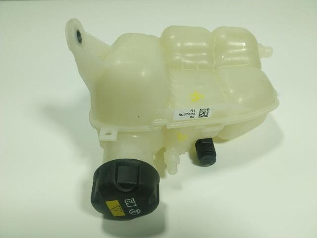 17138687503 BMW Depósito de expansión del sistema de refrigeración  disponible Ourense