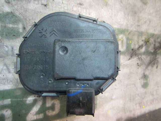 1716693 Cuerpo de mariposa comprar Almería