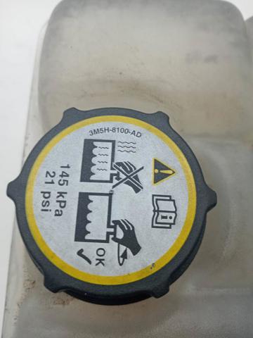 FORD 1717754 Vaso de expansión comprar Pamplona