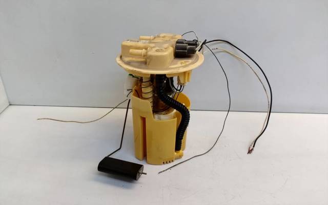 172020371R Renault (RVI)