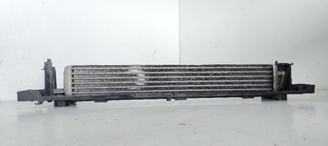 17217553667 BMW