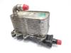 Radiador Enfriador De La Transmision/Caja De Cambios 17217800479 BMW
