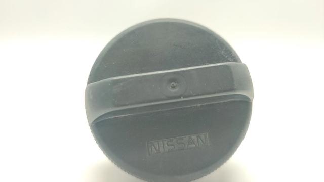1725179920 Nissan/Infiniti