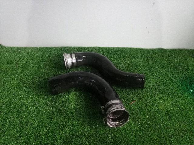 1734226072 Toyota