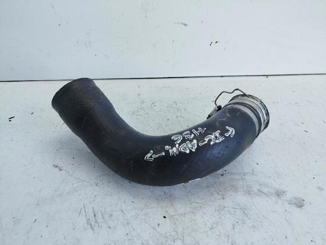 1734326023 Toyota