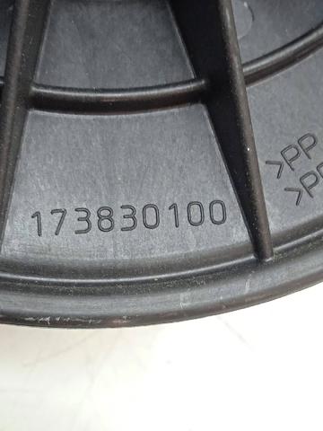 173830100 Renault (RVI)