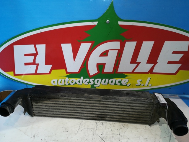 17512246795 BMW Intercooler  comprar en Jaén