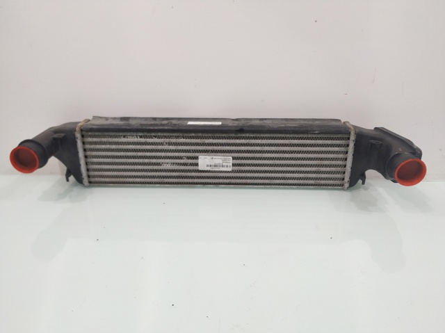 BMW 17512246795 Intercooler comprar Pamplona