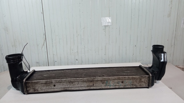 BMW 17517786351 Intercooler  comprar en Albacete