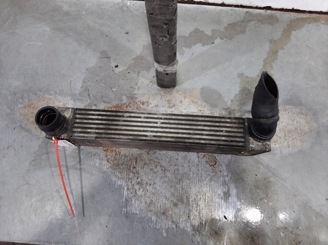 17517787446 BMW Intercooler comprar Bilbao