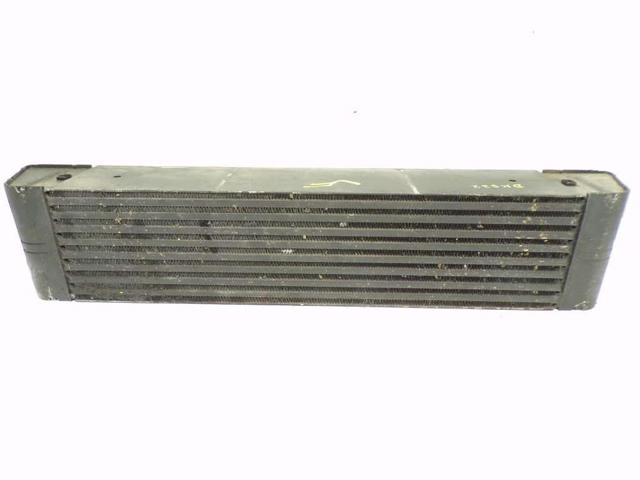 BMW 17517791909 Intercooler  disponible España