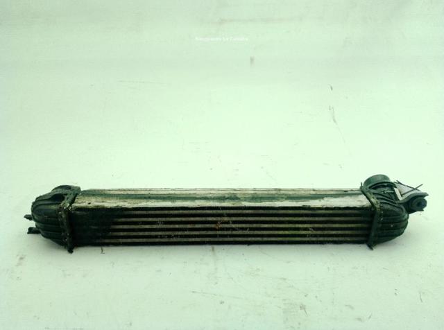 Radiador de aire de admisión MINI COUNTRYMAN R60