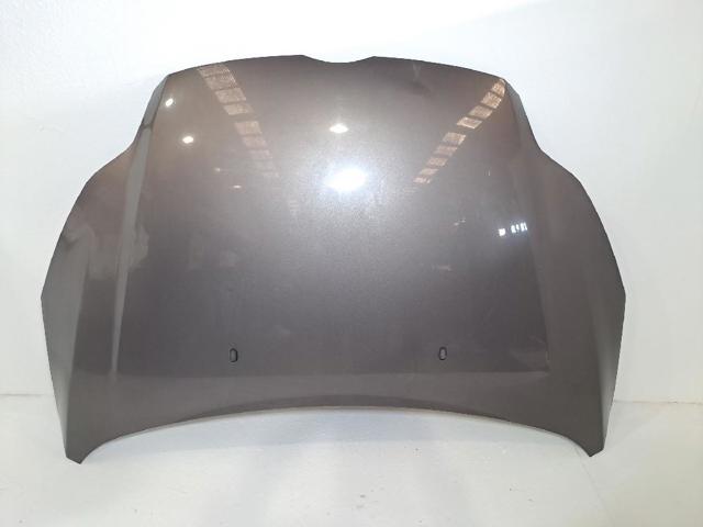 Capó del motor Ford Focus III desde 185,90 €