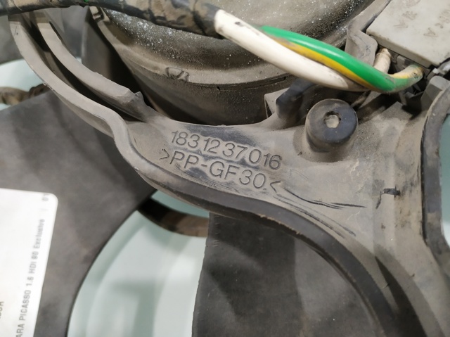 1831237016 PEUGEOT  comprar en Jaén